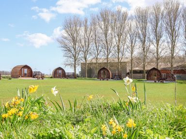 A grassy field with yellow flowers and wooden pod cabins with trees and a large building at Mischief in Little Kelk near Bridlington
