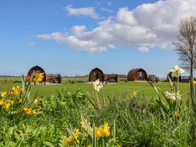 Wooden camping pods on a grassy field with flowers and a tree at Mischief in Little Kelk near Bridlington