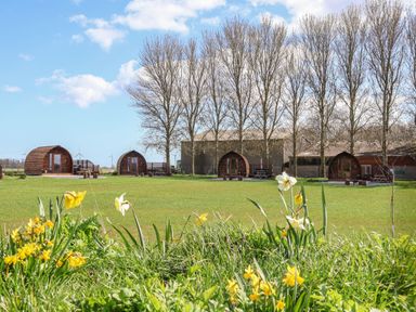 Wooden pods on a grassy area with picnic benches and trees behind with a flower bed in front at Covey in Little Kelk near Bridlington