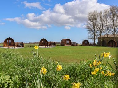 Wooden camping pods lined up on a green lawn with yellow flowers in the foreground and leafless trees in the background at Bouquet in Little Kelk near Bridlington