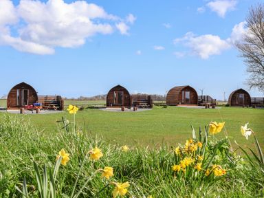 A field with four wooden cabins and yellow flowers in the foreground at Bevy in Little Kelk near Bridlington