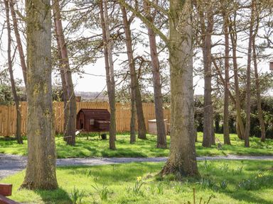 A fenced garden area with trees a wooden chicken coop and a gravel path at Bevy in Little Kelk near Bridlington