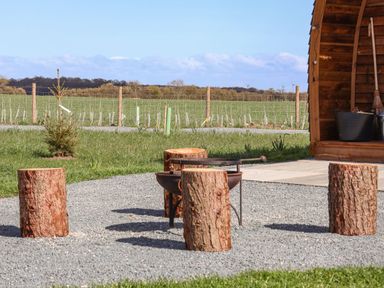 An outdoor seating area with tree stump seats around a fire pit next to a wooden structure in a grassy field at Husk in Little Kelk near Bridlington