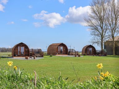 Three wooden pod cabins on a grassy field with picnic tables and a tree at Parliament in Little Kelk near Bridlington
