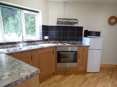 A kitchen with a countertop sink an oven stovetop refrigerator and microwave at Spring Garden Cottage in Laugharne