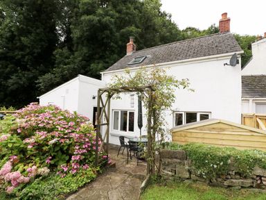A garden with pink flowers a wooden archway and a white house with two chimneys at Spring Garden Cottage in Laugharne