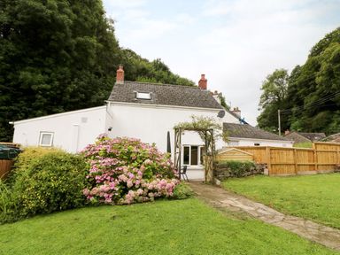 A white house with chimneys a garden arch and flowering bushes at Spring Garden Cottage in Laugharne