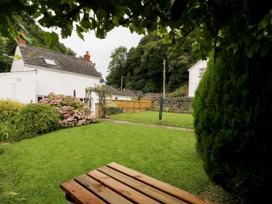 A garden with green grass bushes and a wooden bench at Spring Garden Cottage in Laugharne
