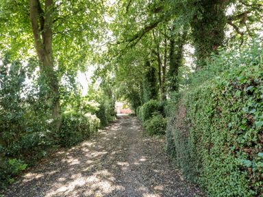 A gravel pathway lined with dense green bushes and trees leading to a building at Church View in Withernwick near Aldbrough