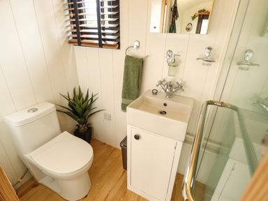 A small bathroom with a toilet, a sink with a cabinet, a green towel, a plant, and a window with blinds at Portland Luxury Glamping in Nottingham