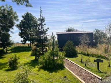 A small wooden cabin with a corrugated roof surrounded by trees and a wood chip path at Portland Luxury Glamping in Nottingham