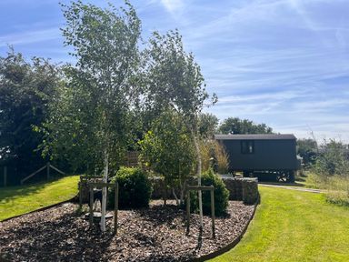 A garden area with small trees and bushes near a dark-colored small building on wheels at Portland Luxury Glamping in Nottingham
