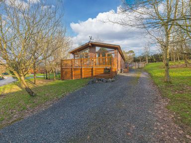 A gravel driveway leading to a wooden cabin surrounded by leafless trees and grass at Fern Lodge in Allithwaite near Cartmel