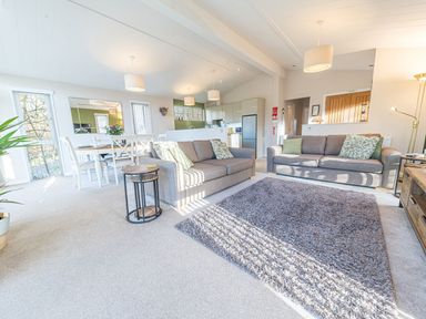 An open plan living room and dining area with sofas, tables, a dining table with chairs, and kitchen appliances at Fern Lodge in Allithwaite near Cartmel