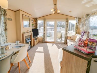 A living room with dining table chairs television fireplace and sofa with packaged gift at 46 Willowburn in Felton