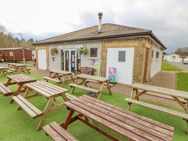 An outdoor seating area with wooden picnic tables and benches outside a building named Timeout Tavern in Felton