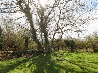 A grassy yard with a large tree that has a tire swing hanging from it at Cwrt y Ceffyl in Boduan near Morfa Nefyn