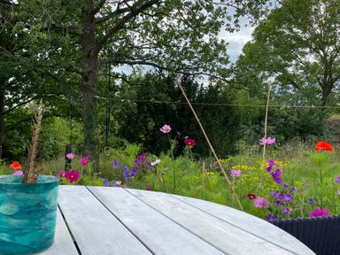 A wooden table with a blue cup and flowers in a garden with trees in the background at High Cogges Farm Holiday Cottages in Witney