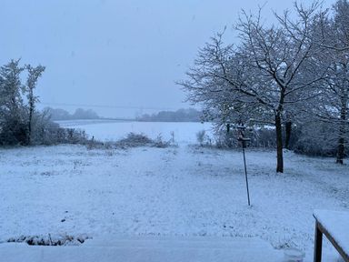 A snowy backyard with trees a bird feeder and a field at High Cogges Farm Holiday Cottages Witney