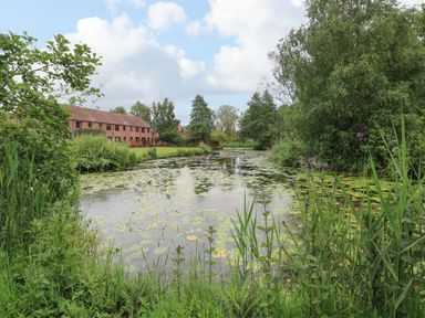 A pond with lily pads surrounded by trees and plants with brick houses in the background at 10 Ruston Reaches in East Ruston near Stalham