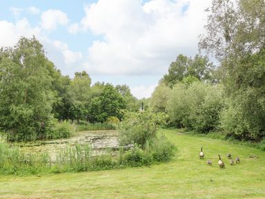 A pond with surrounding trees and a group of geese on grass at 10 Ruston Reaches East Ruston near Stalham