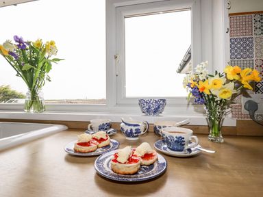 A kitchen counter with scones on blue and white plates tea cups cream jug and flowers at Brookfield in St Gennys near Wainhouse Corner