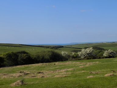 A grassy field with bushes and distant hills with sea view at Brookfield in St Gennys near Wainhouse Corner