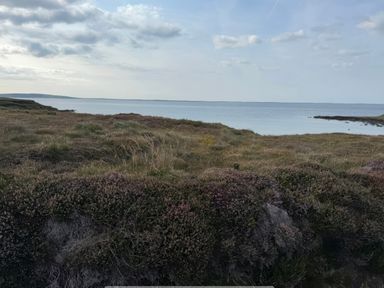 A coastal view with grass and heather at Geesala in Gweesalia