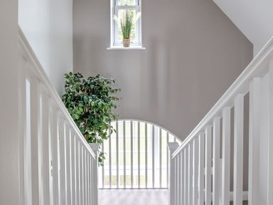 A staircase with white railings a green plant on the landing and windows in the background at The Tower 5 Corisande Manor Newquay