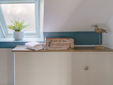 A bathroom ledge with a white towel, a wooden crate, a decorative bird sculpture, and a potted plant under a skylight window at The Tower 5 Corisande Manor in Newquay
