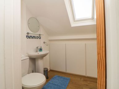 A small bathroom with a toilet sink mirror skylight and blue rug at Estuary View in Newton Ferrers