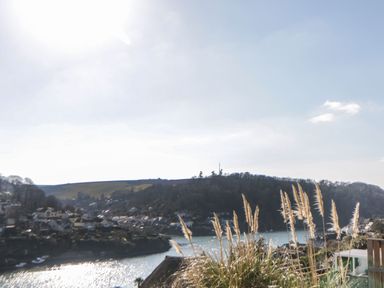 A riverside view with houses on the left hillside tall grass in the foreground and hills in the background at Estuary View in Newton Ferrers