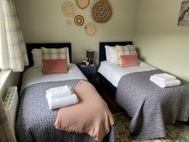 A bedroom with two single beds side by side with patterned bedspreads and pillows at Dol Blodau in Newbridge-On-Wye