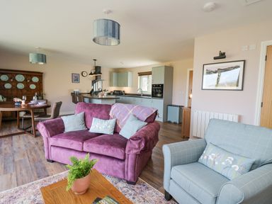 An open-plan living room and kitchen with a purple sofa and blue armchair with cushions a wooden coffee table with a plant a dining table with chairs and a wooden cabinet with plates at Ystrad Wen in Llysdinam near Newbridge-On-Wye