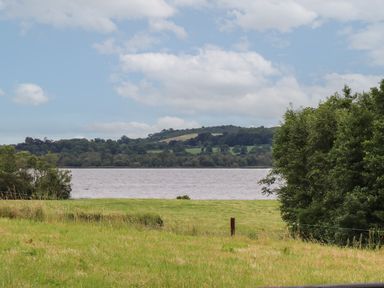 A grassy field with trees near a body of water and hills in the background at Shannon Vale in Woodford County Galway