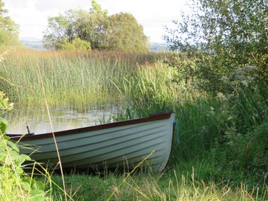 A small boat on grass near a reed-filled pond surrounded by trees and plants at Shannon Vale in Woodford County Galway