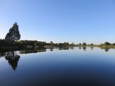 A lake with trees and bushes around its shore under a clear blue sky at Shannon Vale in Woodford County Galway