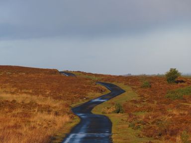 A winding paved path through grass and shrubs under a cloudy sky at Shannon Vale in Woodford County Galway