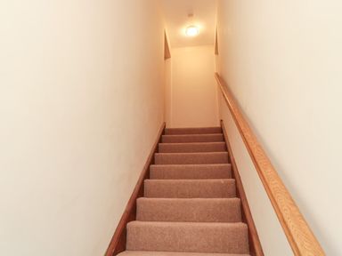 A carpeted staircase with wooden handrail and light on ceiling at 2 Apple Tree in Beadnell