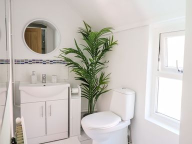 A bathroom with a toilet a sink with cabinet a round mirror and a tall plant at Lane Cottage in Cardigan
