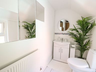 A bathroom with a white sink cabinet a round mirror a toilet a tall green plant and a radiator at Lane Cottage in Cardigan