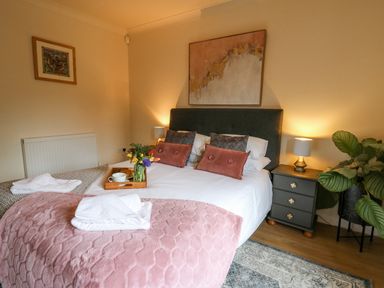 A bedroom with a double bed pillows and pink blanket beside a nightstand with a lamp and a plant at The Searle in Nantmel near Rhayader