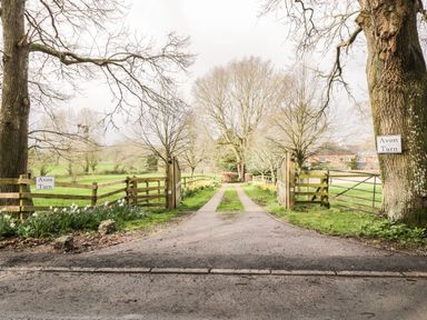 A gated driveway lined with daffodils and trees leading to a house at Avon Turn in Alderbury
