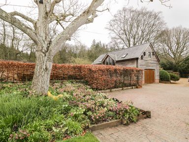 A driveway and wooden garage with flower beds and a large tree at Avon Turn View in Alderbury