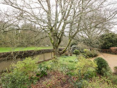 A garden with trees shrubs and flowers beside a stone wall at Avon Turn View in Alderbury
