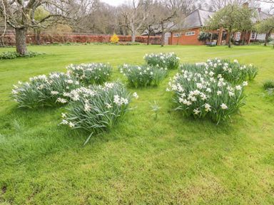 A garden with white flowers and trees near a house at Avon Turn View in Alderbury