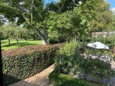 A garden with trees hedges a gravel path and a patio with a table and white umbrella at Avon Turn View in Alderbury
