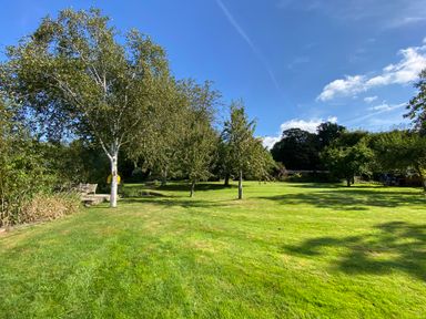 A large grassy garden area with multiple trees and a stone bench under a clear blue sky at Avon Turn View in Alderbury