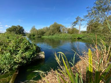 A river with green vegetation and trees on both sides under a blue sky at Avon Turn View in Alderbury