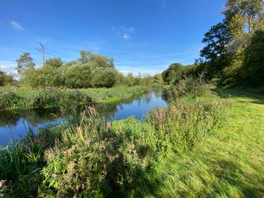 A river with grassy banks and trees under a blue sky at Avon Turn View in Alderbury
